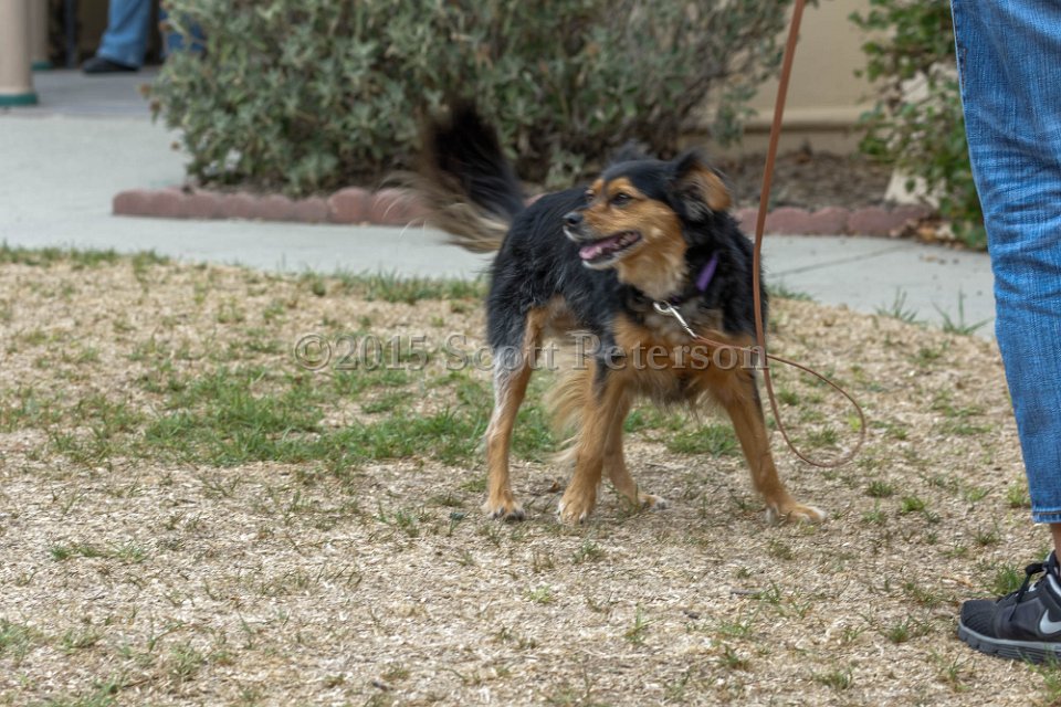DSC 8409 DxO