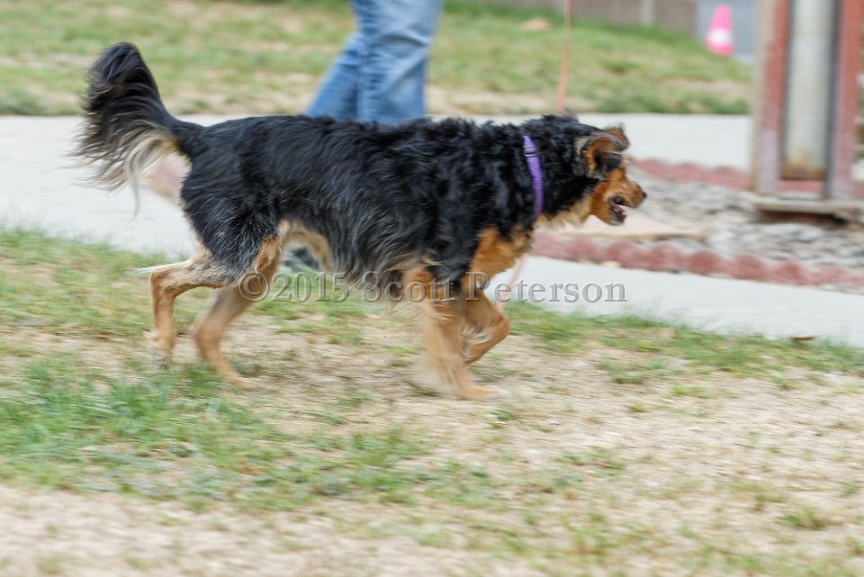 DSC 8411 DxO