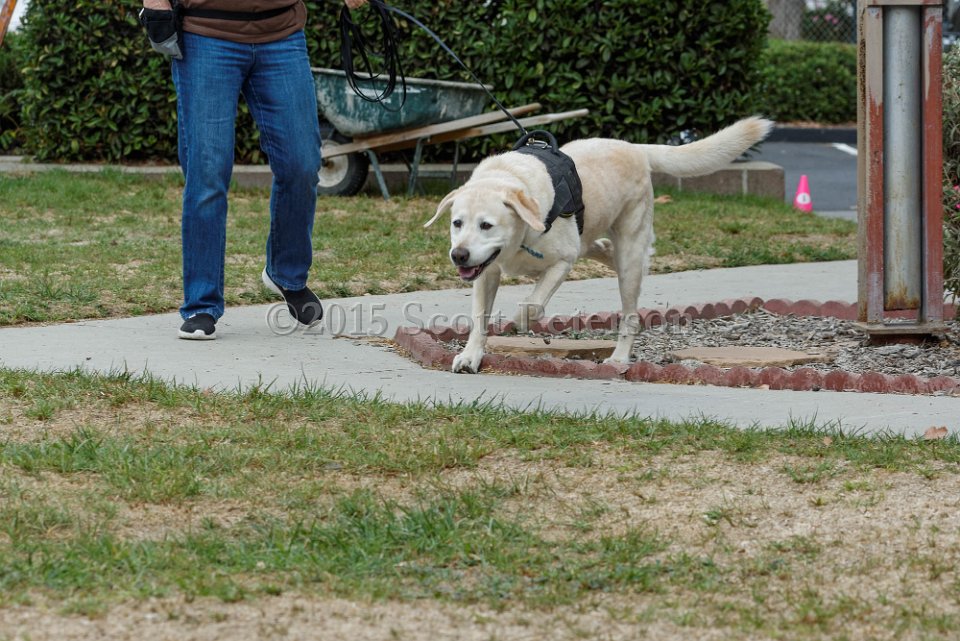 DSC 8412 DxO