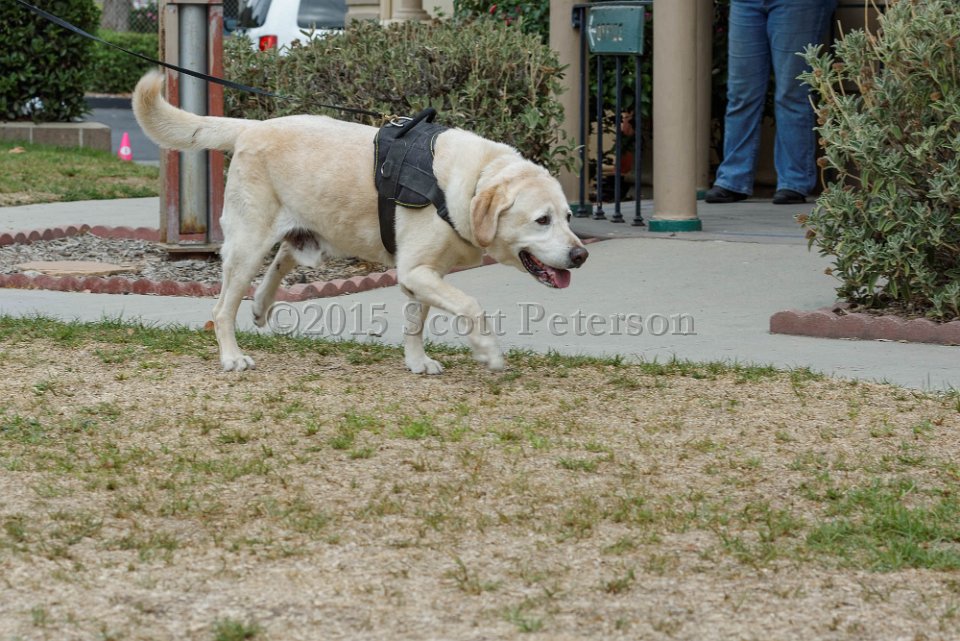 DSC 8413 DxO
