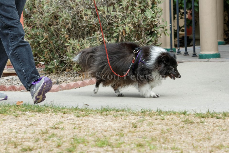 DSC 8420 DxO