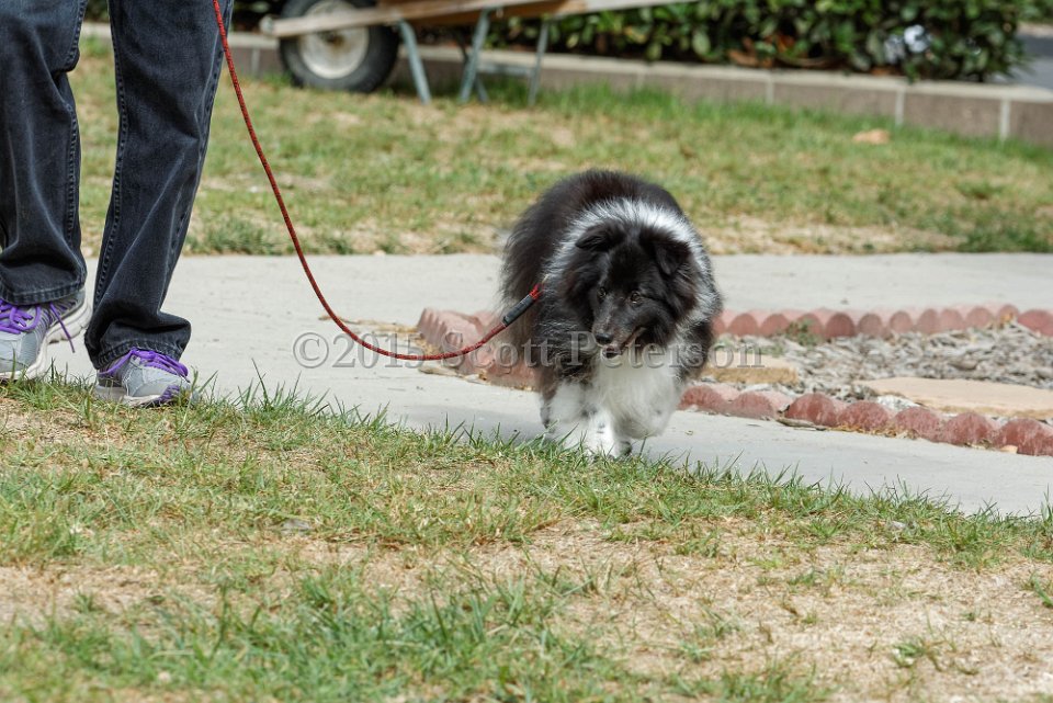 DSC 8423 DxO