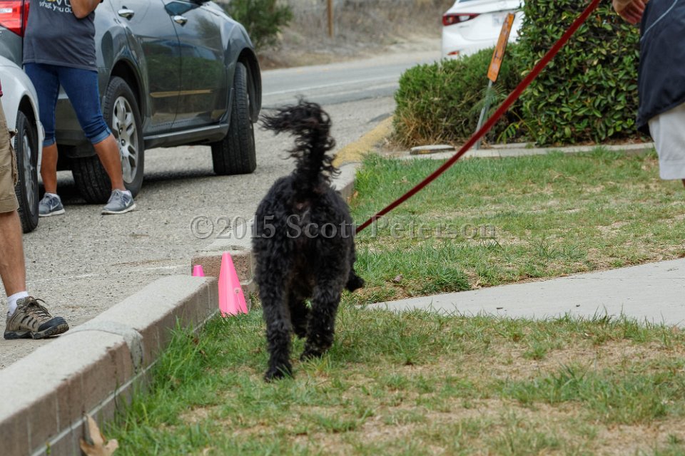 DSC 8426 DxO