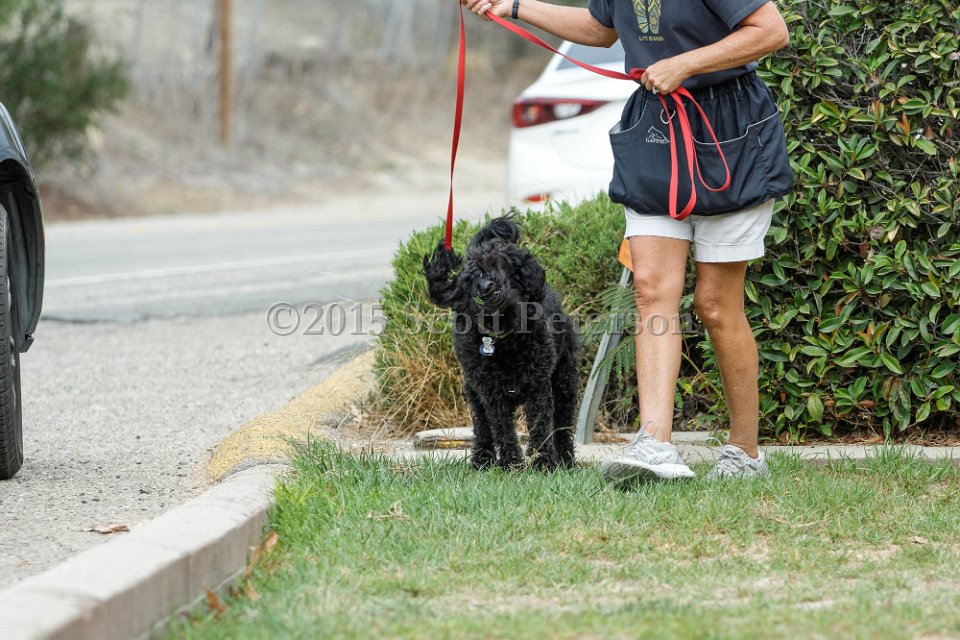 DSC 8428 DxO