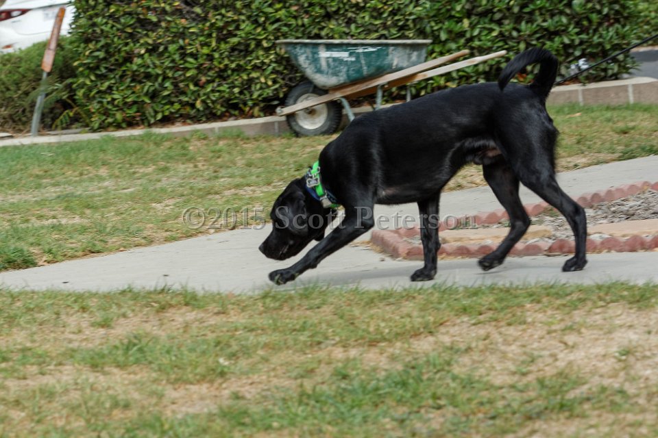 DSC 8433 DxO