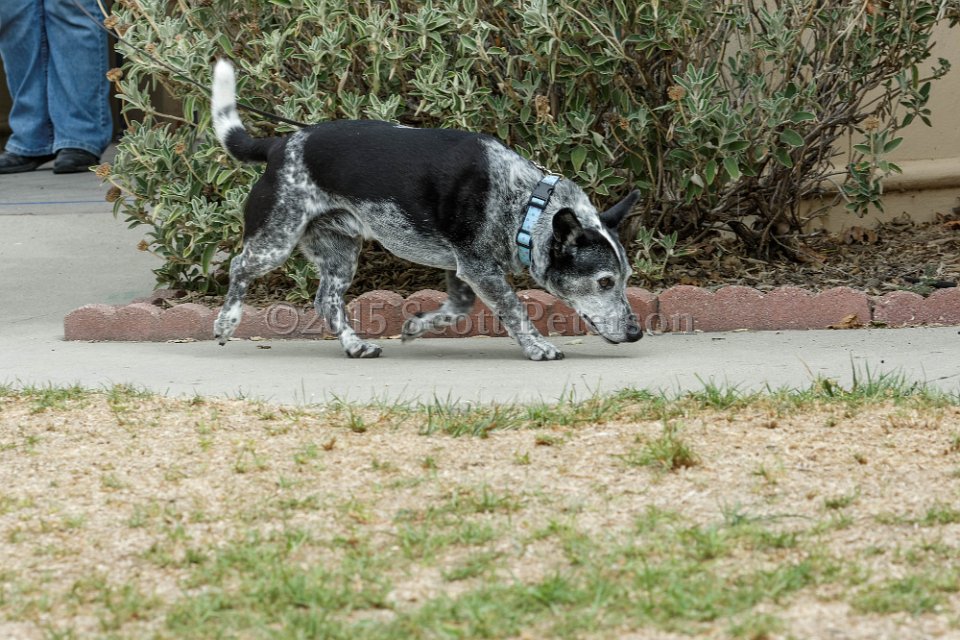 DSC 8442 DxO