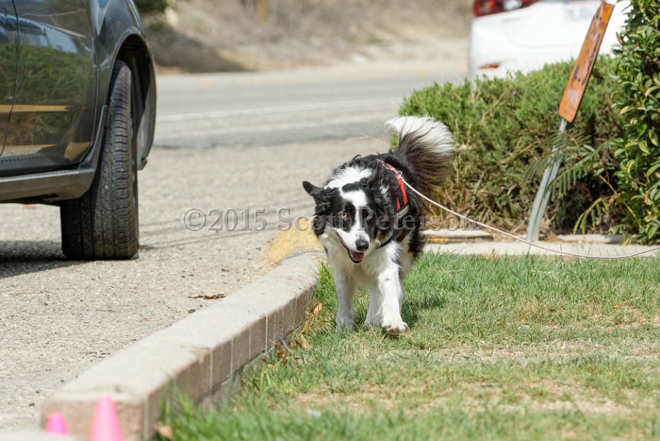 DSC 8452 DxO