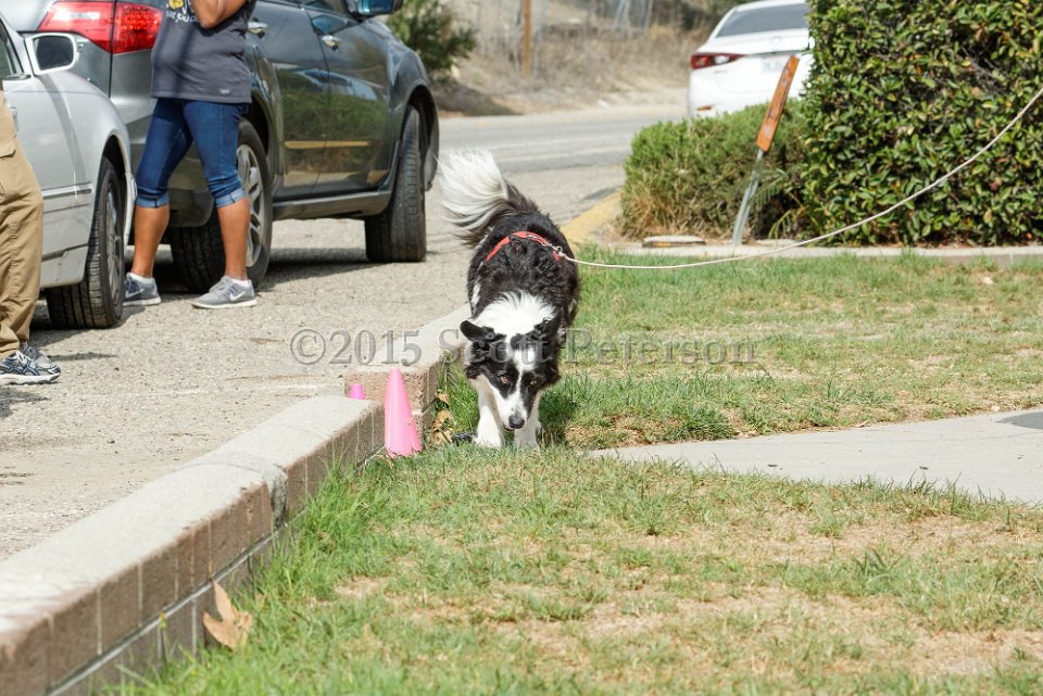 DSC 8453 DxO