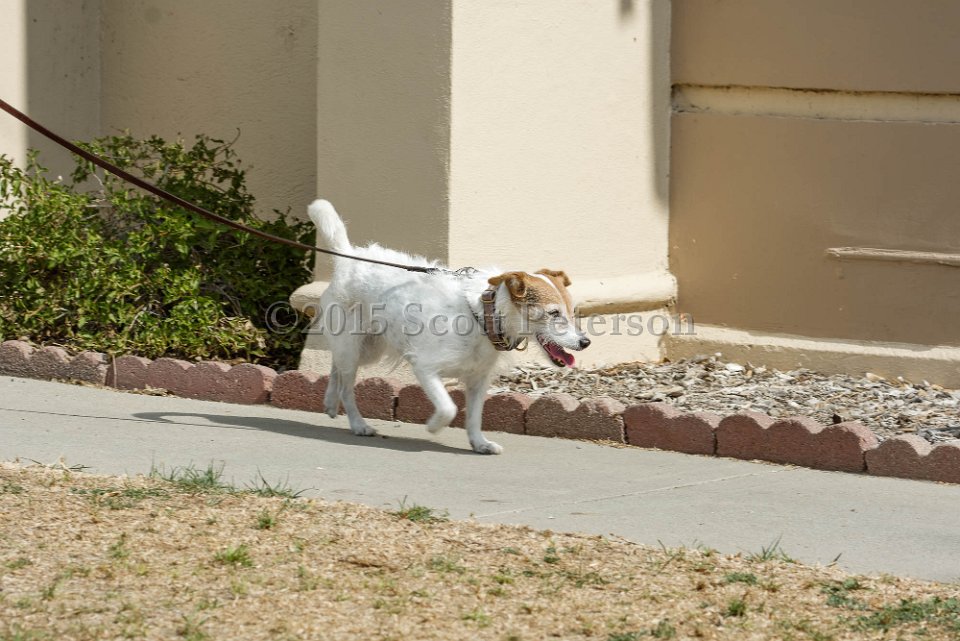 DSC 8459 DxO