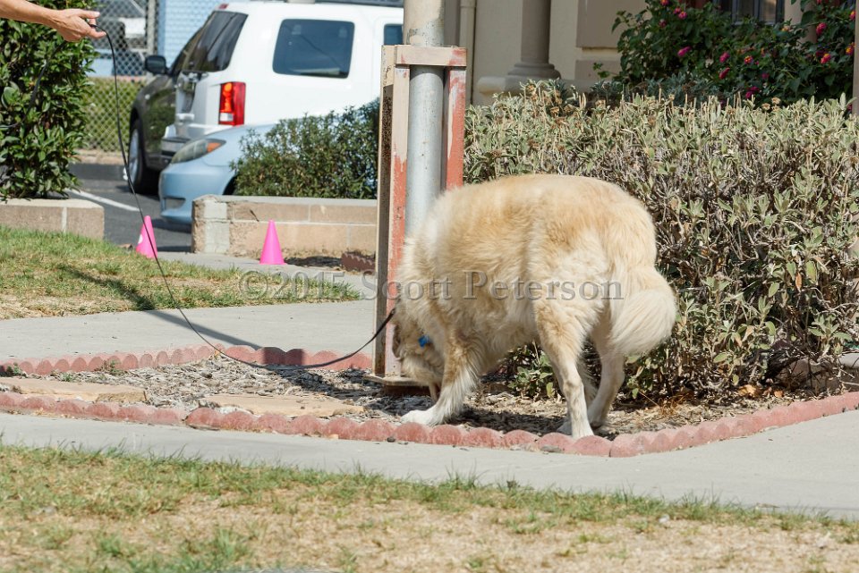 DSC 8462 DxO