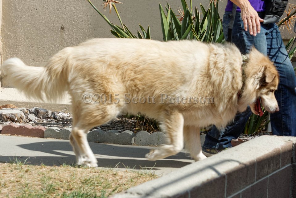 DSC 8465 DxO