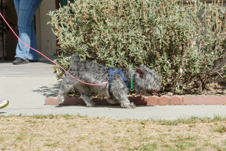 DSC 8477 DxO