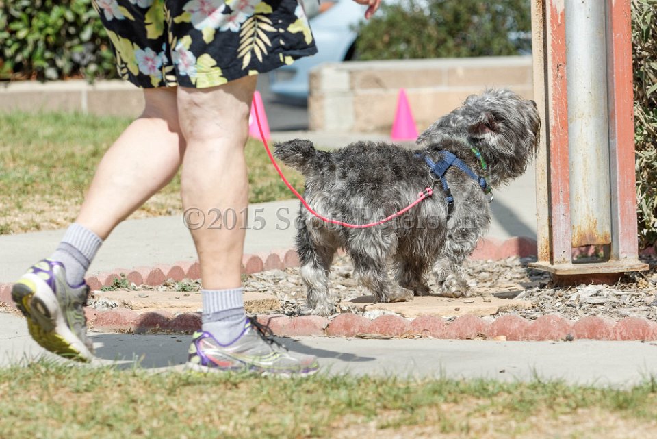DSC 8479 DxO