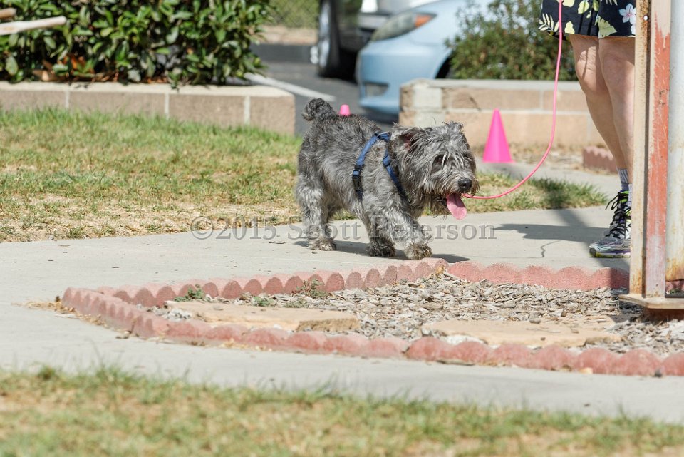 DSC 8480 DxO