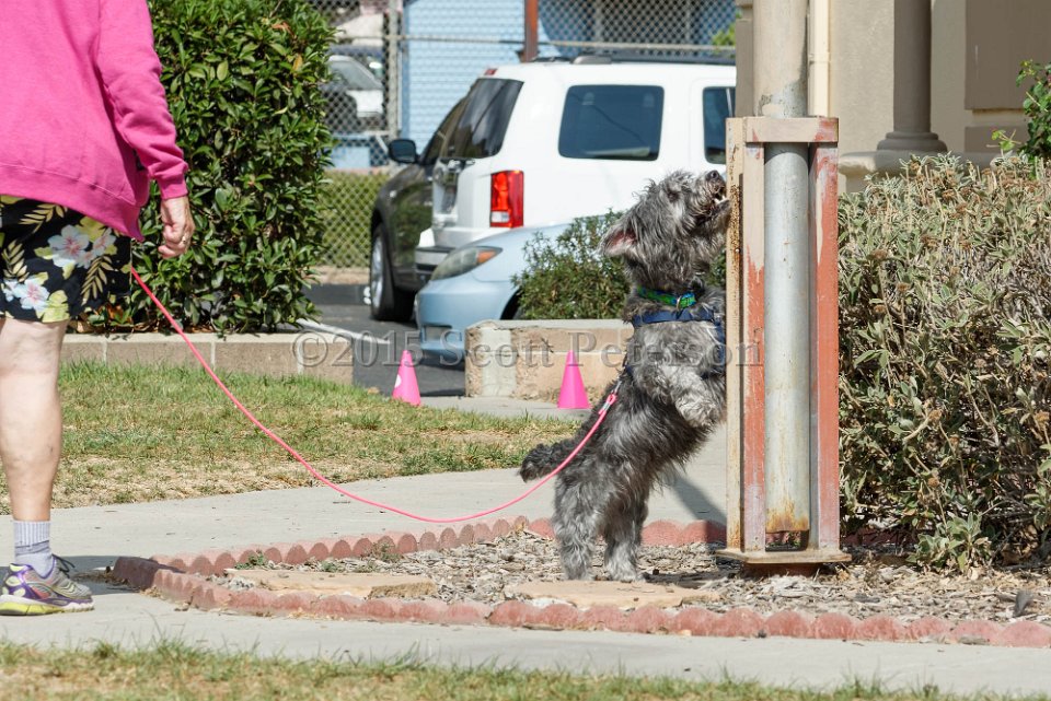 DSC 8482 DxO