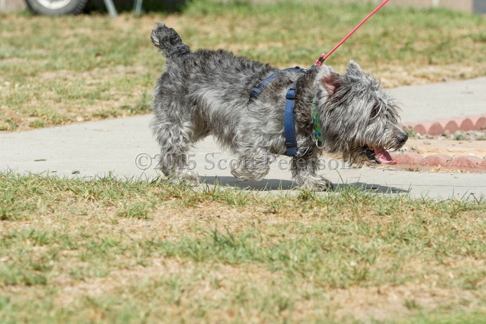 DSC 8484 DxO