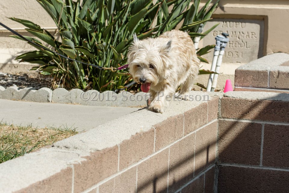 DSC 8508 DxO