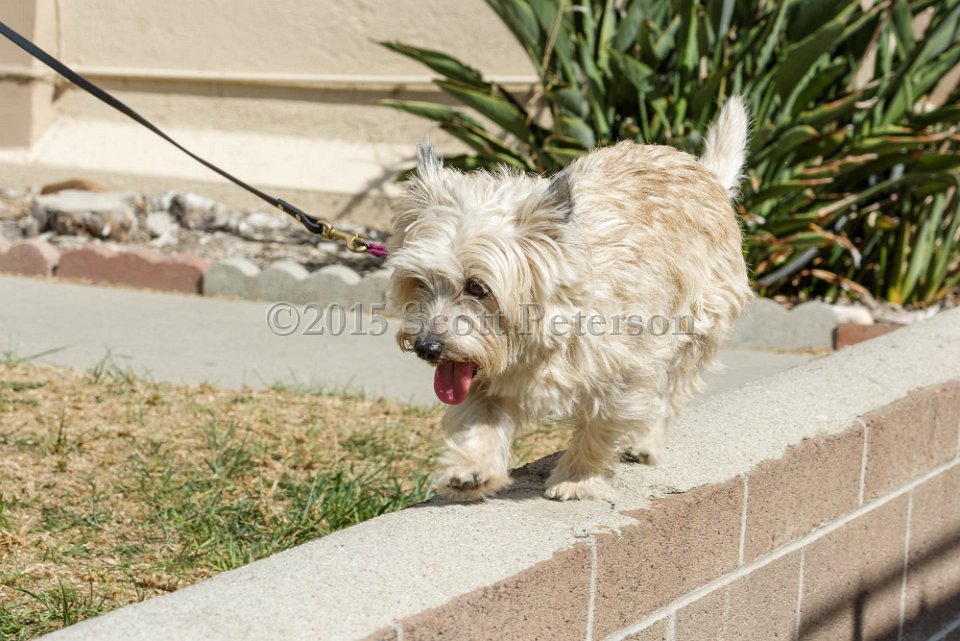 DSC 8509 DxO