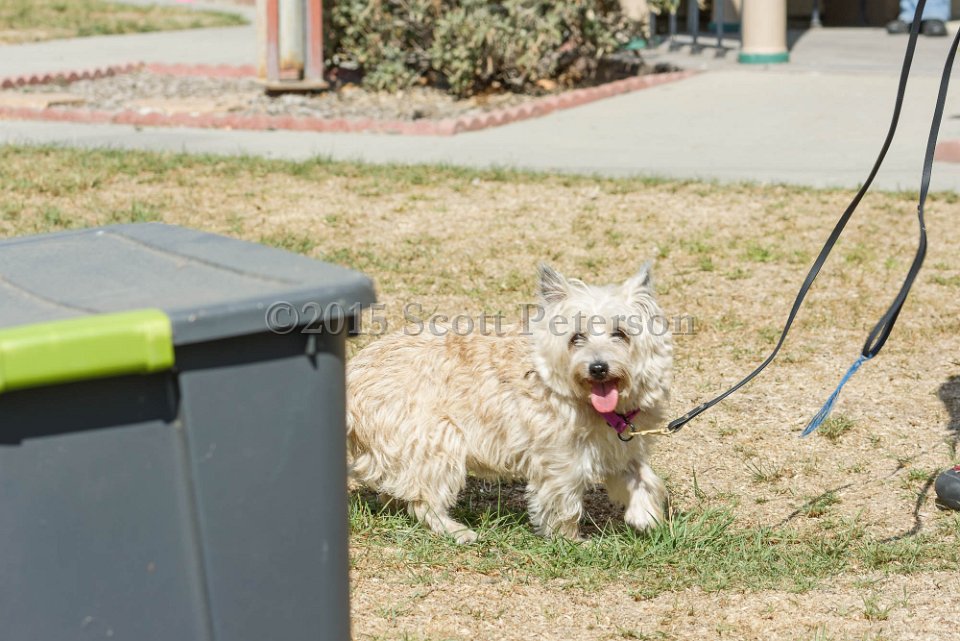 DSC 8510 DxO