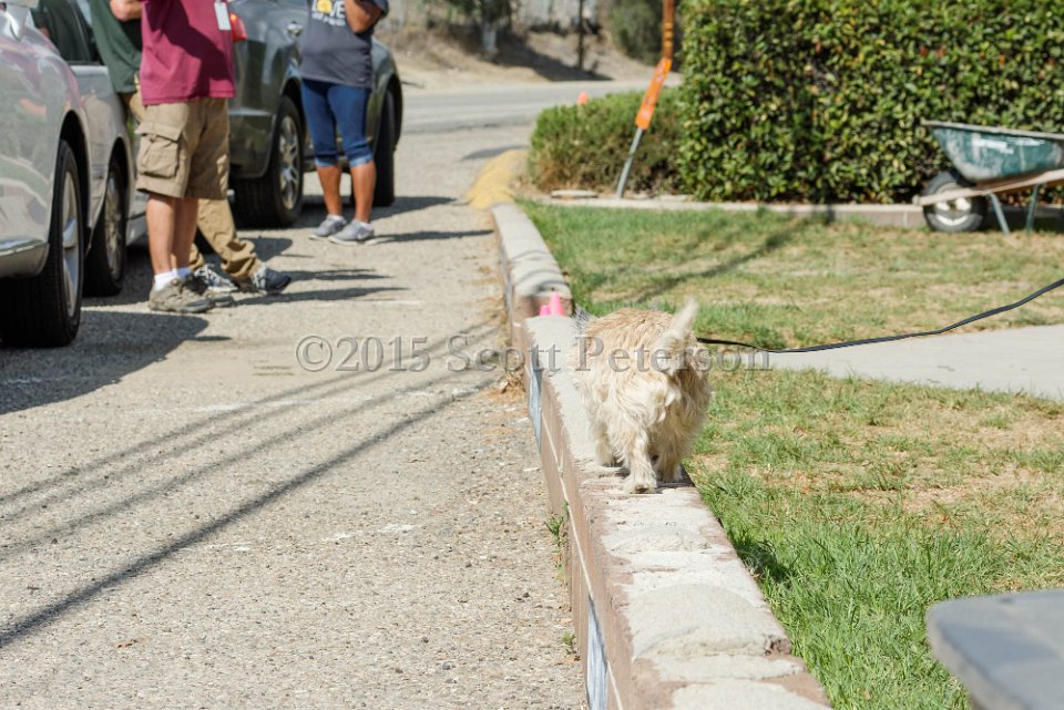 DSC 8512 DxO