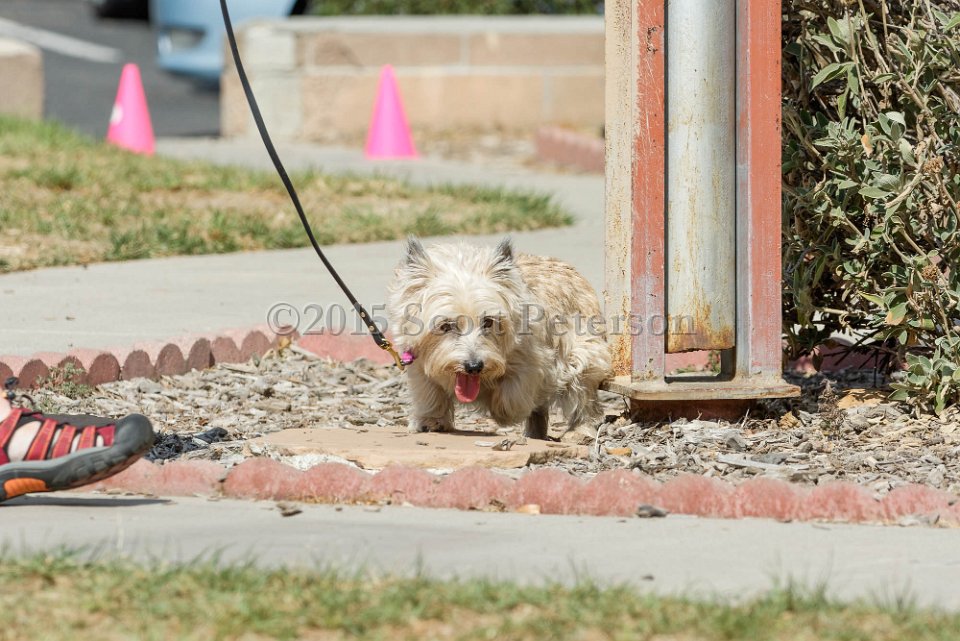 DSC 8514 DxO