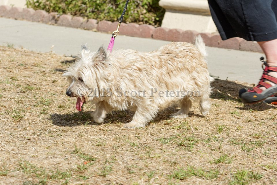 DSC 8516 DxO