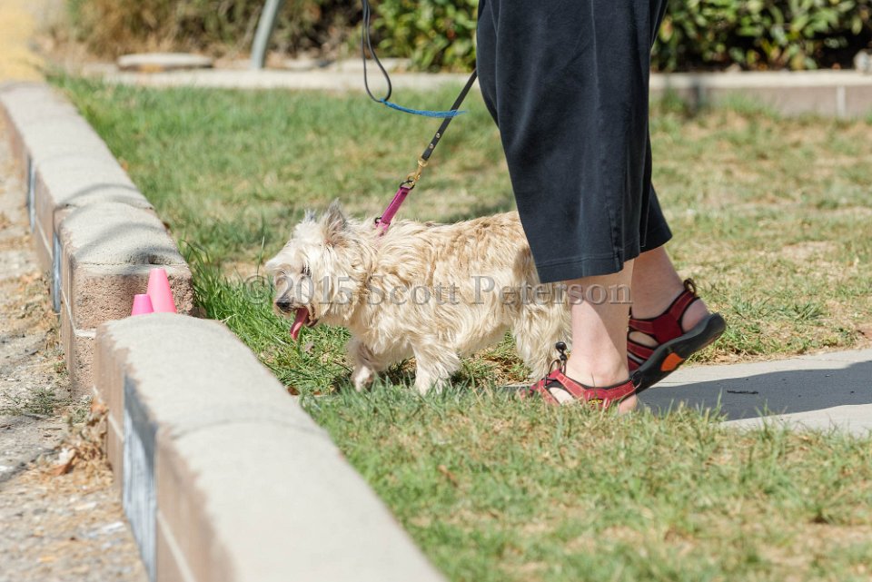 DSC 8517 DxO