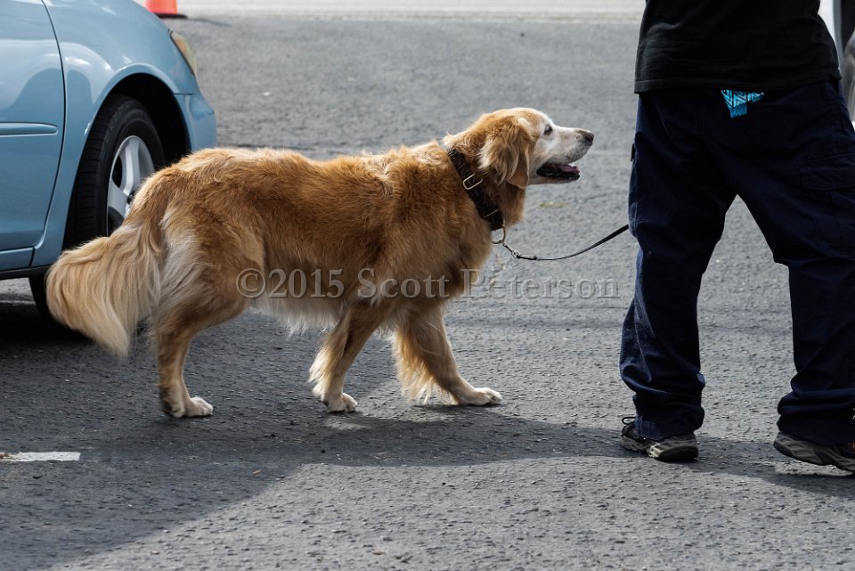 DSC 1228 DxO