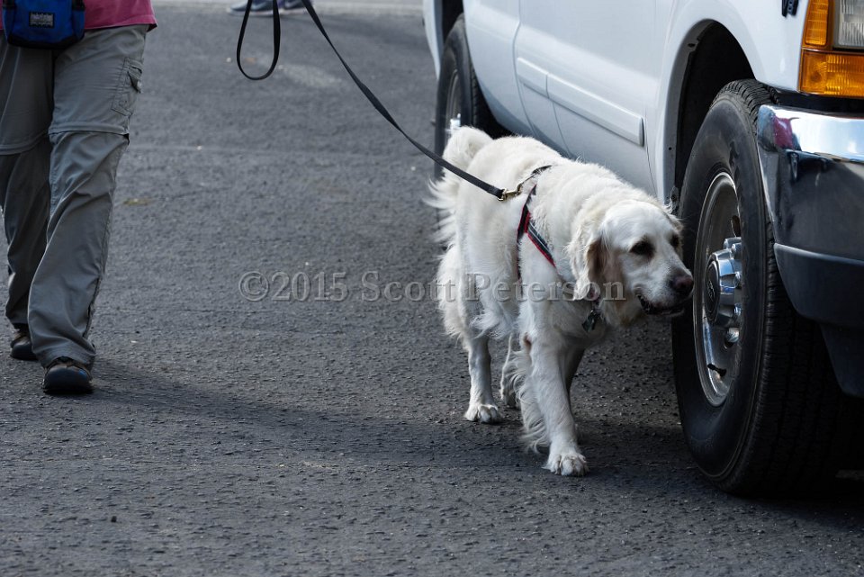 DSC 1250 DxO