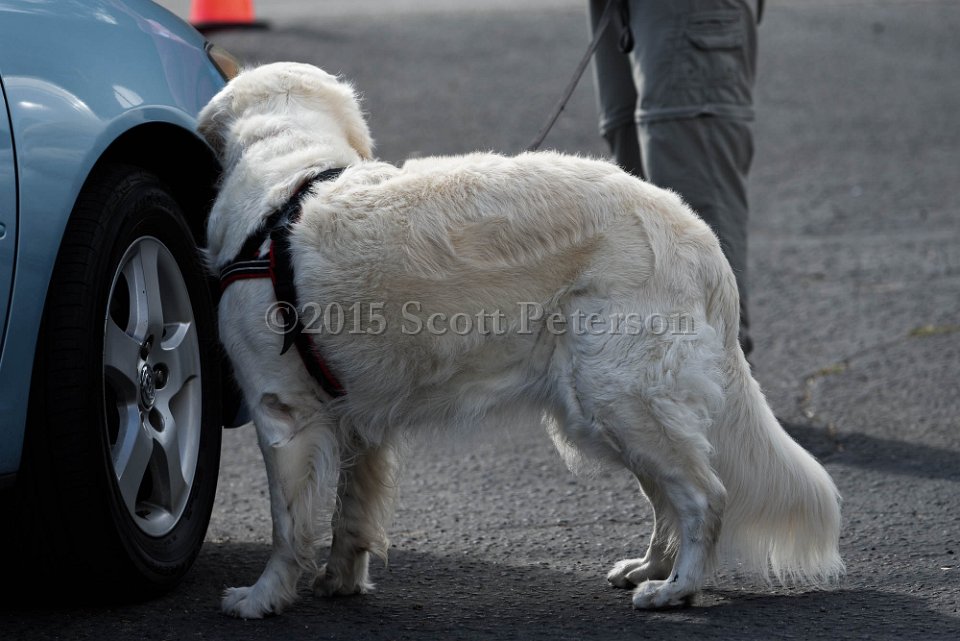 DSC 1252 DxO