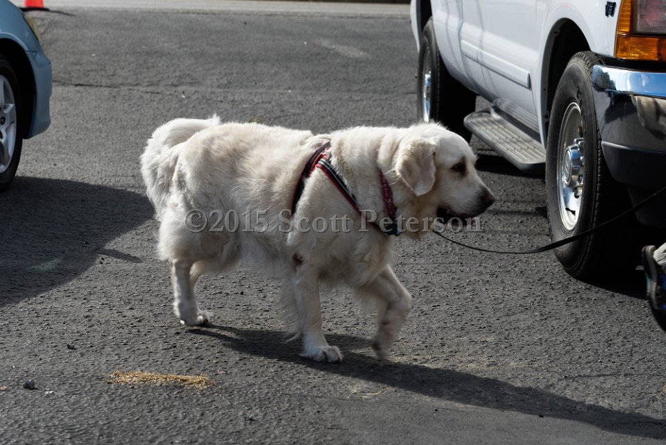 DSC 1256 DxO