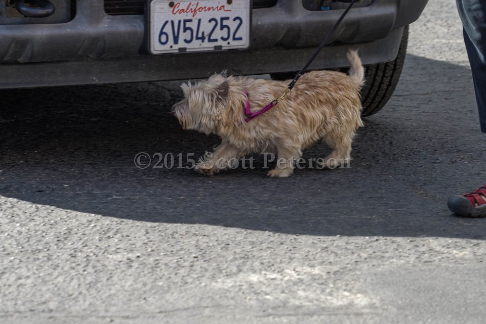 DSC 1289 DxO