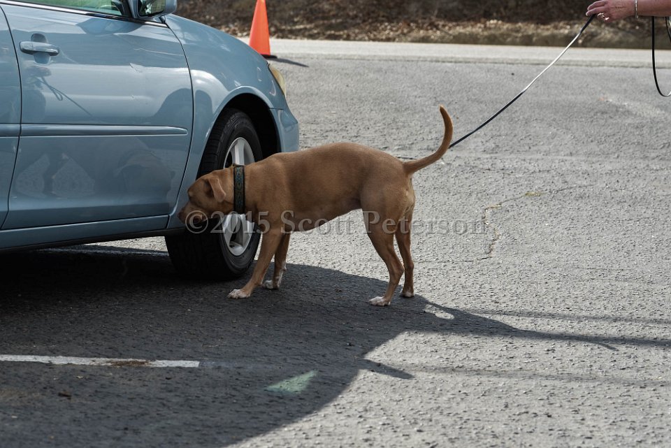DSC 1328 DxO
