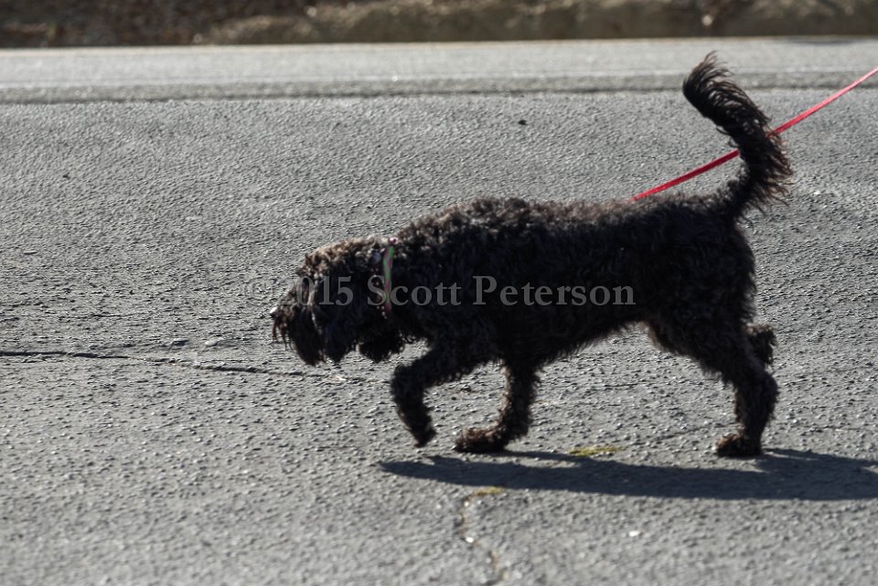 DSC 1402 DxO