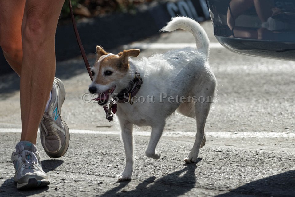 DSC 1502 DxO