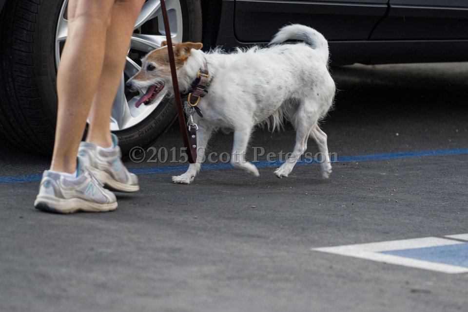 DSC 1508 DxO