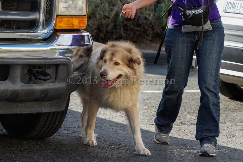 DSC 1512 DxO