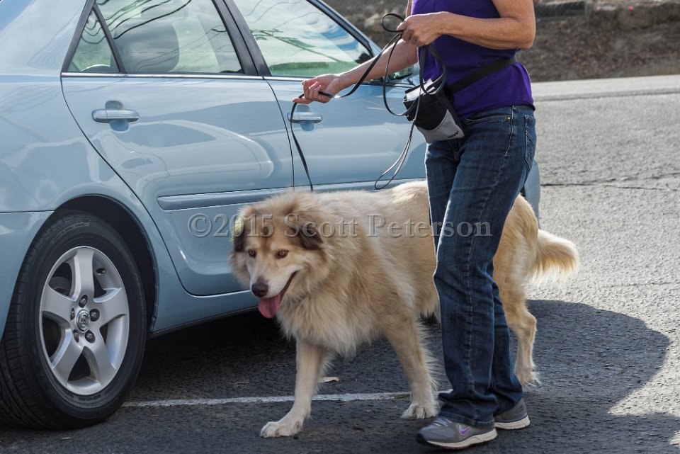 DSC 1514 DxO