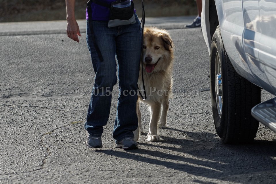 DSC 1516 DxO