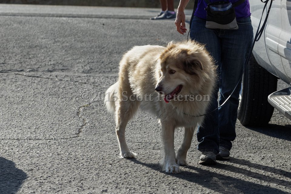 DSC 1517 DxO