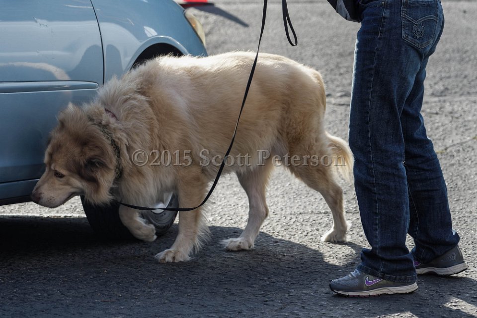 DSC 1518 DxO