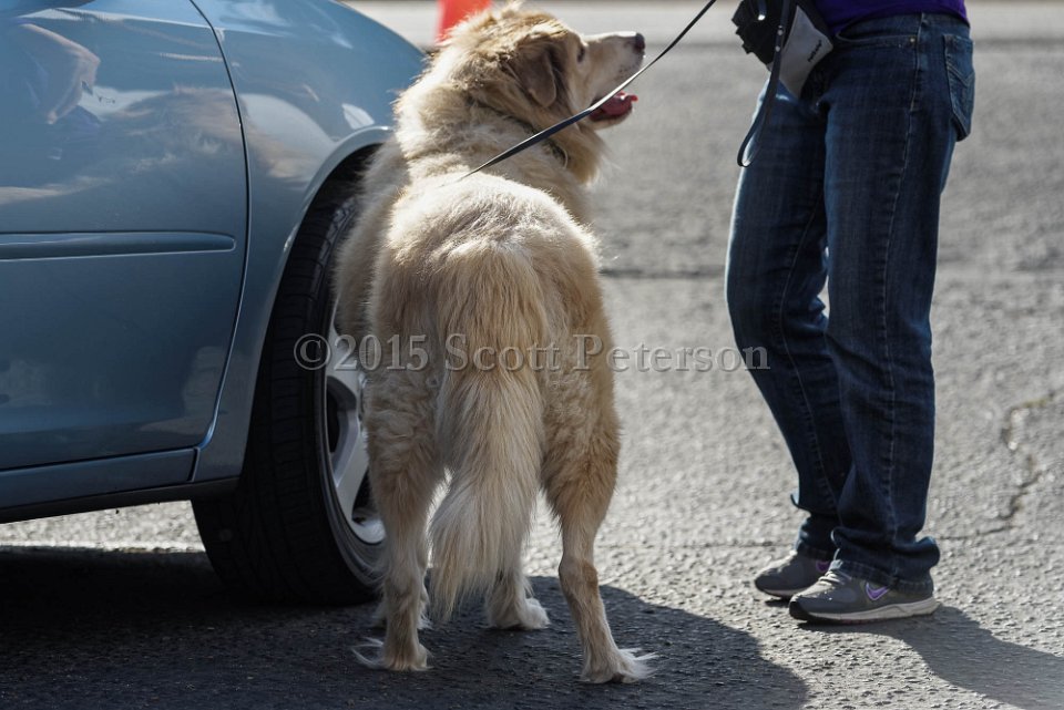 DSC 1519 DxO