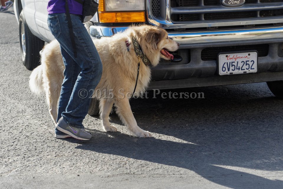 DSC 1520 DxO