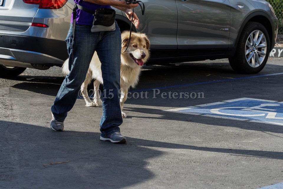 DSC 1522 DxO
