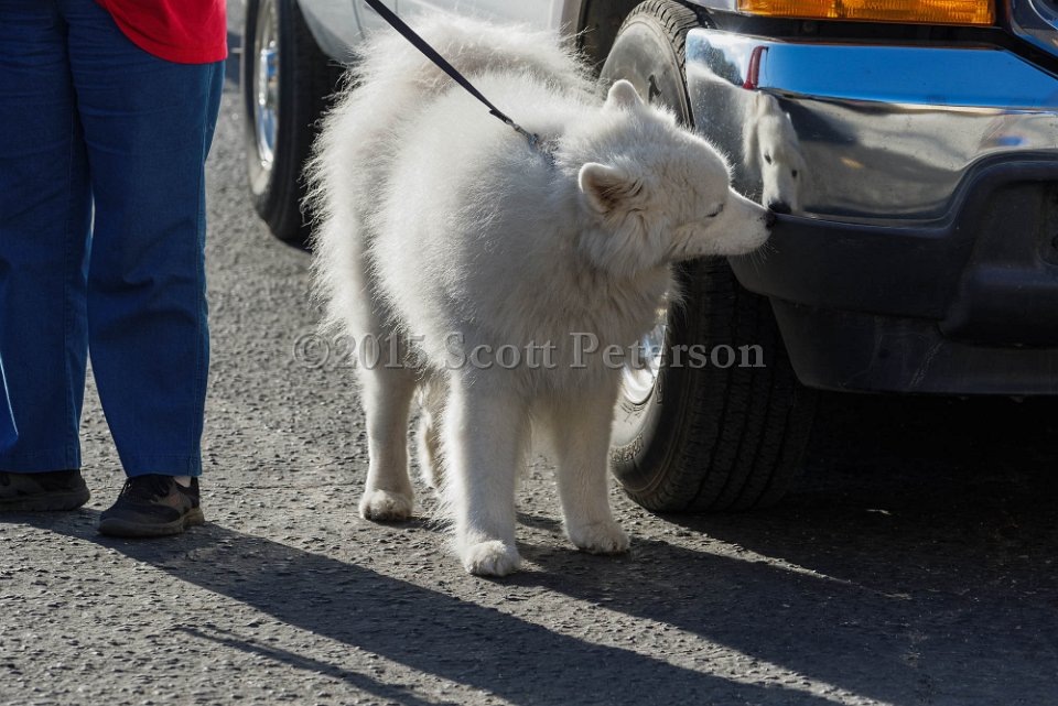 DSC 1526 DxO