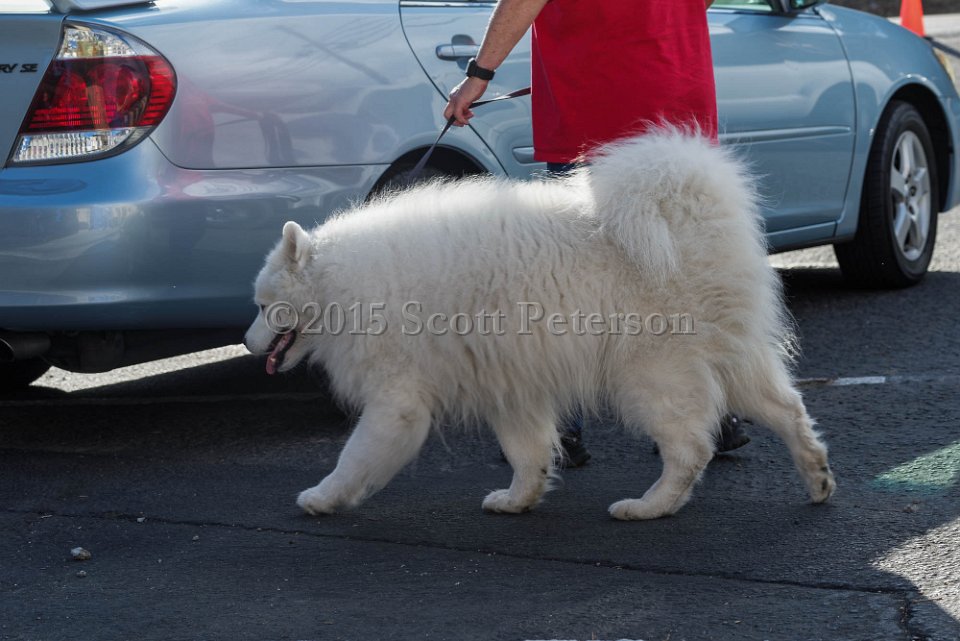 DSC 1527 DxO
