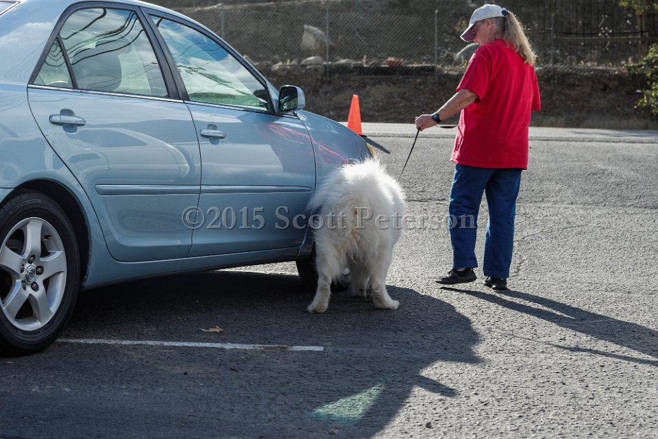 DSC 1528 DxO