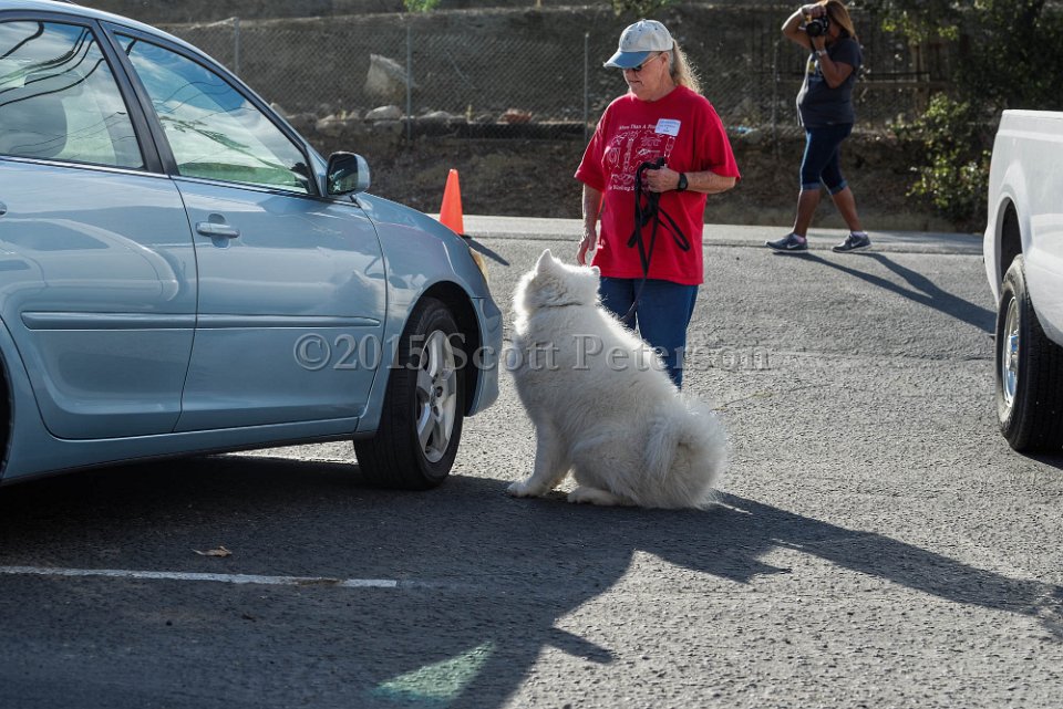 DSC 1529 DxO