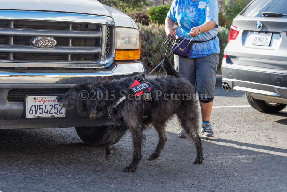 DSC 1535 DxO