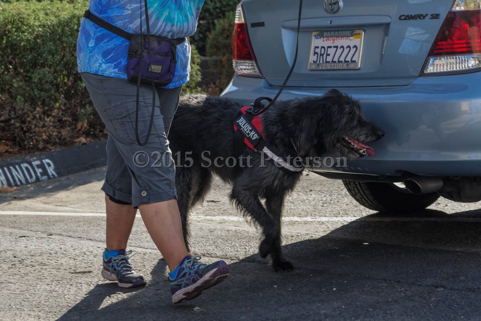 DSC 1542 DxO